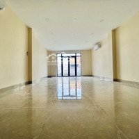 Cho Thuê Tòa Nhà Mặt Tiền Phổ Quang *600M2 Nhà Mới Xây 100%