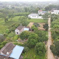 Cần Bán 10.463M2 Có 400M2 Tc Bám Suối Tại Tiên Hội, Đại Từ Thái Nguyên. Giá Chỉ 500K/M2