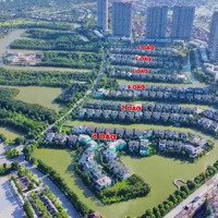 Check Căn Chọn Lọc Chuyển Nhượng Biệt Thự Đảo, Ecopark Grand - The Island. Tháng 7/2024