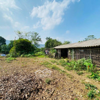 Bán Gấp 500M2 Đất Mặt Tiền 12X40M Giá Cực Rẻ Tại Cao Dương - Lương Sơn