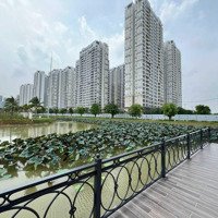 Cho Thuê Nhà Phố Broadway, Vinhomes Grand Park, 452M2, Chỉ 50 Triệu.