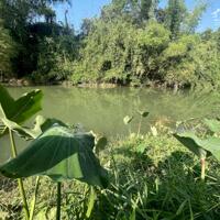 bán 1 hecta giáp Sông tặng vườn Bưởi đường oto xã Khánh Phú, Khánh Vĩnh giá chỉ 147k/m2
