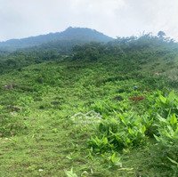 Bán Mảnh Đất View Thung Lũng Mường Hoa - Sapa