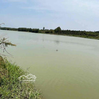 8Hec View Sông Sêrpok Nam Jong Cư Jut Đak Nông Cách Bmt 22Km