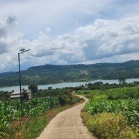 Bán Đất View Sông Đồng Nai Mát Mẻ Diện Tích 1000M2 Sẵn 100M2 Tc Đường Bêtông Tới Đất Đèn Điện Đầyđủ