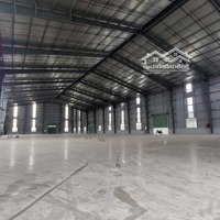 Cho Thuê 2 Kho Xưởng Tdt: 9.000M2 Kcn Hải Sơn, Đức Hòa Đông, Long An