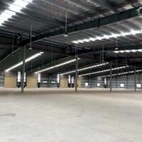 [ms885] - CHO THUÊ KHO XƯỞNG 10.000M2, PCCC TỰ ĐỘNG, TẠI KCN LONG AN