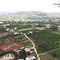 Đất Lớn View Hồ Thanh Trì, Mặt Tiền Đường Liên Thôn Rộng 6M, Điện - Đường - Trường - Trạm Hội Tụ