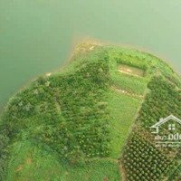Cần Bán Nhanh Lô Đất View Hồ Dak Nia