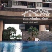 Cắt Lỗ Bán Nhanh Căn Hộ Dolphin Plaza 133M2 02 Phòng Ngủ Full Đồ. Cam Kết Giá Rẻ Nhất Dự Án. 4X Triệu/M2.