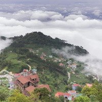 Chính Chủ Chuyển Nhượng 7175M2 Trung Tâm Thị Trấn Tam Đảo, Vĩnh Phúc (Nhà Hàng, Ks, Homestay, Cafe