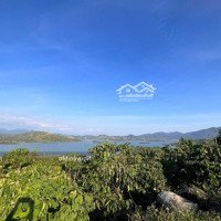 Bán Gấp 5 Héc Ta Vườn Cà Phê View Hồ Tại Đắknông. 0353491195