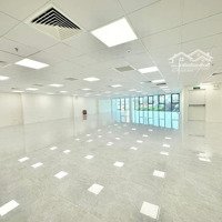 Khai Trương Tòa Nhà Văn Phòng - Mbkd Tại Nguyễn Ngọc Nại 240M2 30 Triệu