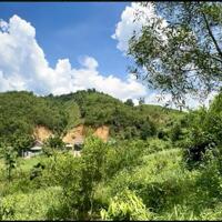 S79 Cần bán 2 quả đồi view hồ huyện Cát Tiên, tỉnh Lâm Đồng.