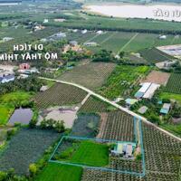 bán gấp đất vườn thổ cư DT 8257m2 Tân Tiến, Thị xã LaGi, Bình Thuận. Giá NGỢP