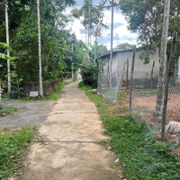 Bán Lô Đất Kiệt 125 M2 , Đường Bê Tông, Sau Lưng Uỷ Ban Xã Hoà Ninh