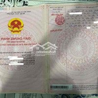 Bán Gấp Dãy Trọ 10P Ngay Kcn Trảng Bàng, Shr, Giá 620 Triệu