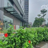 Gia Đình Cần Bán 3 Phòng Ngủ95M2 Đông Nam - Tây Nam Chung Cư Nhà Bình Minh Garden. Liên Hệ: 0902222582