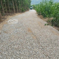 1002.6M2 Khánh Hiệp, Ngang 28M Đường Ô Tô Giá Bán 230 Triệu