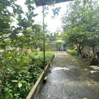 Cho Thuê Nhà Sân Vườn Hẻm Rộng Kp4 Phường Trảng Dài,Thành Phố Biên Hoà