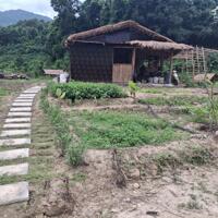 Bán Farm Khánh Thượng khí hậu trong lành mát mẻ như Đà Lạt
