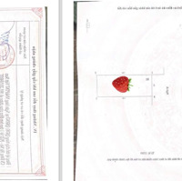 3.2 Tỷ Bán Nhà Phố Vĩnh Phúc, Hoàng Hoa Thám Gần Chợ Bưởi, 24M2, Pháp Lý Ok Sổ Vay Ngân Hàng Ok