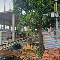 Phúc Thành 3 Em Đang Có 2 Siêu Phẩm Shophouse Trục Chính Và View Công Viên Trung Tâm