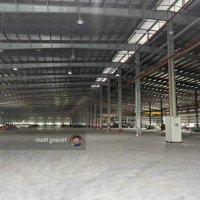 Cho Thuê Xưởng 50.000M2 Kcn Tây Ninh. Bàn Giao Ngay