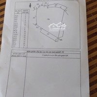 Bán Gấp Đất Trồng Sầu Riêng Đã Thu, 1.4Hecta, Sổ Đỏ Chính Chủ