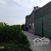 936 Triệu - 740 M2 Đất Xóm 9 Tân Tiến, Xã Hải Minh, Hải Hậu, Nam Định