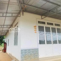 Chính Chủ Gửi Bán Nhà Ven Ngoại Ô Đà Lạt 10X60 Sẵn 250M Thổ Cư 1Tỷ500 Triệu