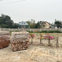 Bán Gấp Lô Đất 1160 M2, Hai Mặt Đường (Mặt Đường Nhựa 24M) Tổ 9 Tt Quang Minh, Mê Linh