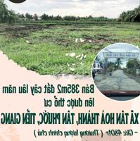 Bán 385m2 đất cây lâu năm lên được thổ cư xã Tân Hoà Thành, Huyện Tân Phước, Tiền Giang