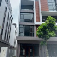 Quỹ Căn Ngoại Giao Shophouse Ocean Park 3 Giá Tốt Nhất Thị Trường Chỉ Từ 12 Tỷ