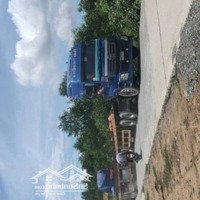 Mặt Tiền Đê Bao Long Sơn Cần Đước