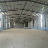 Cho Thuê Xưỡng P Thạnh Lộc Q12. Diện Tích: 1200M