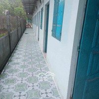 Bán Đất 308M2 Có 100M Thổ Cư Có 10 Phòng Trọ Xã Đồi 61 Trảng Bom