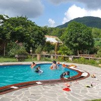 Bán Ks Resort Nghỉ Dưỡng,Diện Tích4.4 Ha, Xã Tân Hưng, Tx Bà Rịa, Bà Rịa Vũng Tàu