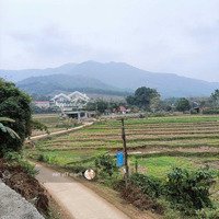 Cần Bán 1622M2 View Cánh Đồng Cao Thoáng Duy Nhất, Giao Thông Thuận Tiện Tại Lương Sơn