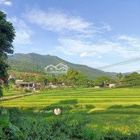 Cần Bán 1622M2 View Cánh Đồng Cao Thoáng Duy Nhất, Giao Thông Thuận Tiện Tại Lương Sơn