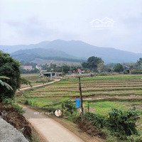 Cần Bán 1622M2 View Cánh Đồng Cao Thoáng Duy Nhất, Giao Thông Thuận Tiện Tại Lương Sơn