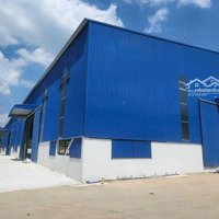 Cần Cho Thuê Kho Xưởng Trong Kcn Tp Mới Bình Dương 3.200M2