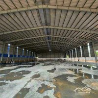 Cần Cho Thuê Kho Xưởng Trong Kcn Tp Mới Bình Dương 3.200M2