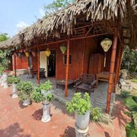 Bán nhà vườn ở Tứ liên 2500m2 làm homestay, nhà hàng, café, view Sông hồng