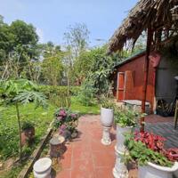 Bán nhà vườn ở Tứ liên 2500m2 làm homestay, nhà hàng, café, view Sông hồng