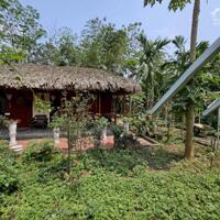 Bán nhà vườn ở Tứ liên 2500m2 làm homestay, nhà hàng, café, view Sông hồng