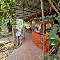 Bán nhà vườn ở Tứ liên 2500m2 làm homestay, nhà hàng, café, view Sông hồng