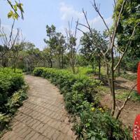 Bán nhà vườn ở Tứ liên 2500m2 làm homestay, nhà hàng, café, view Sông hồng