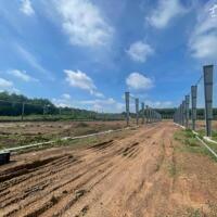 Cần chuyển nhượng 60.000m2 đất làm nhà máy gạch không nung tại Hòa Vang, Đà Nẵng.