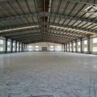 Cho thuê 1850 m2 , 2500m2 , 5600m2 Xưởng giá rẻ trong KCN Thủ Dầu Một Bình Dương